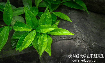 中央財(cái)經(jīng)大學(xué)同等學(xué)力申碩達(dá)到多少分才算通過考試？