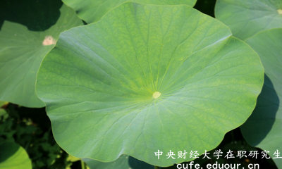 2018年中央財(cái)經(jīng)大學(xué)在職研究生可以獲得雙證嗎？
