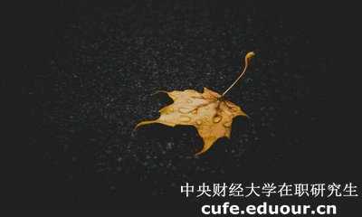 中央財經(jīng)大學(xué)在職研究生與課程研修班有哪些區(qū)別？